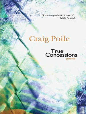 cover image of True Concessions